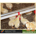 automatic poultry farm use chicken drinkers